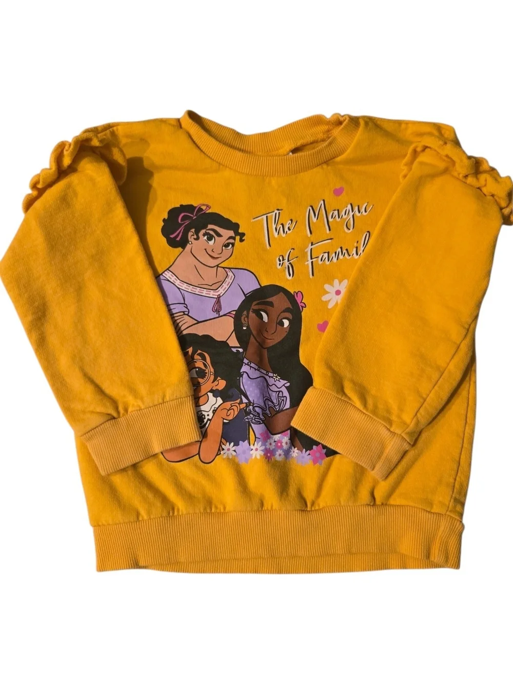 Disney encanto sweatshirt